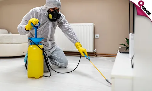Pest Control Treatment Service!